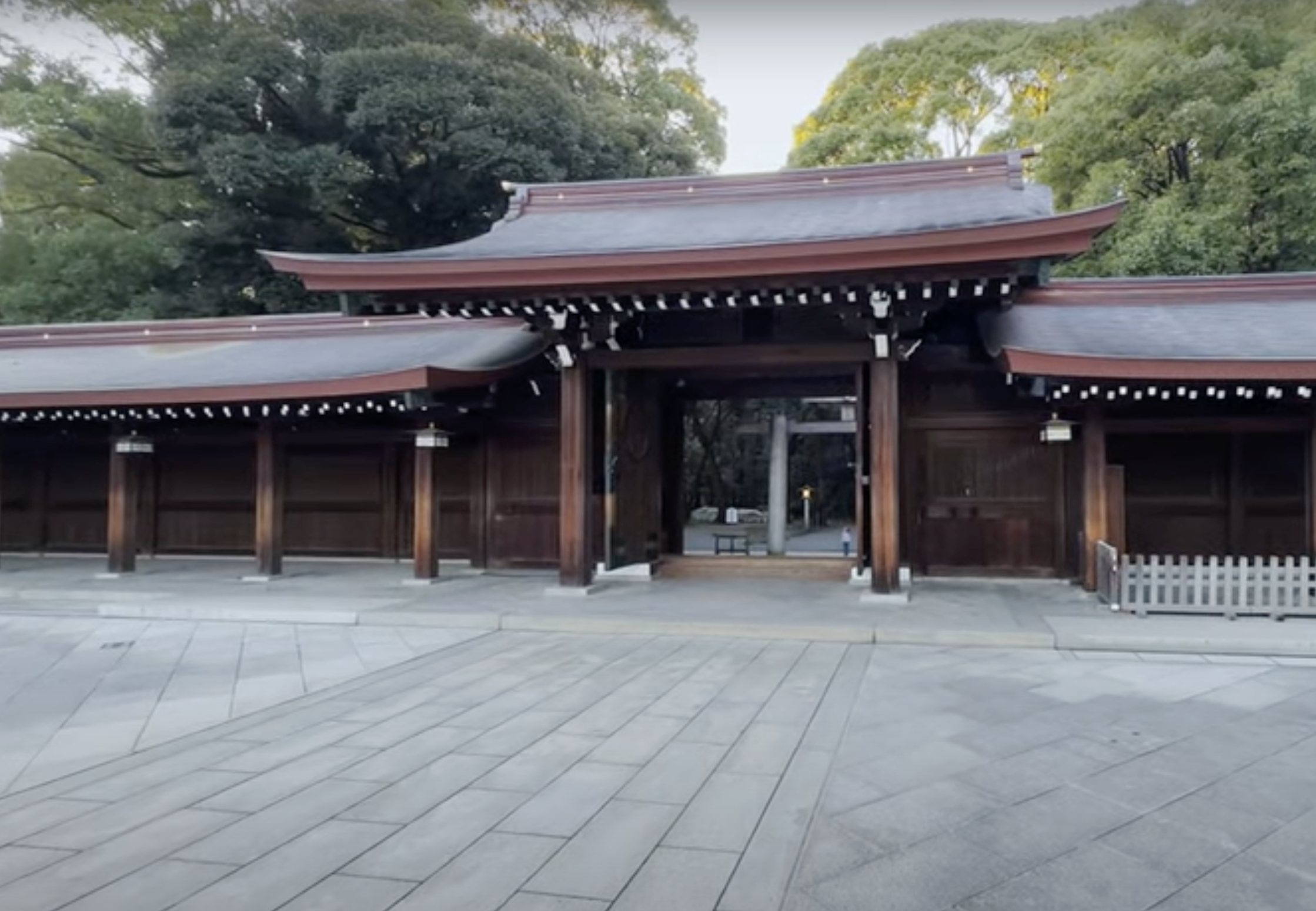 Japan Travel